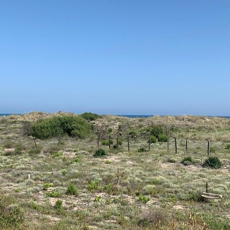Mon Petit Paradis, Vue Sur Dunes Et Mer, Acces Direct Plage Robinson, Terrasse, Parking Prive, Tres Ressourcant, A Marseillan Plage Екстериор снимка