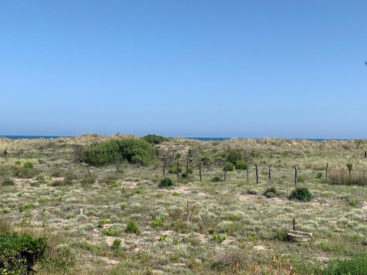 Mon Petit Paradis, Vue Sur Dunes Et Mer, Acces Direct Plage Robinson, Terrasse, Parking Prive, Tres Ressourcant, A Marseillan Plage Екстериор снимка